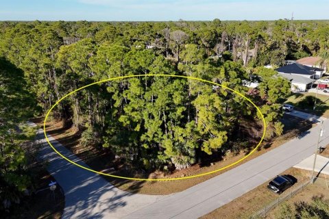Land in North Port, Florida № 2165602 - photo 2