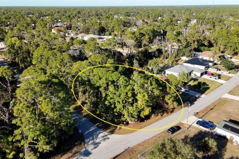 Land in North Port, Florida № 2165602 - photo 3