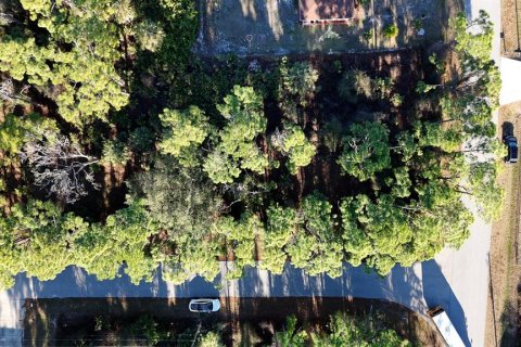Land in North Port, Florida № 2165602 - photo 13