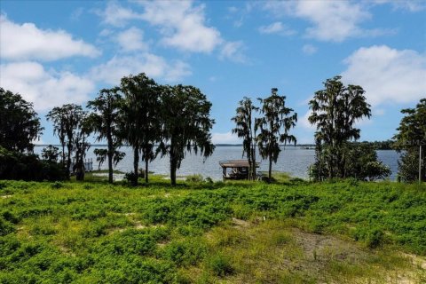 Terrain à vendre à Windermere, Floride № 2218267 - photo 4