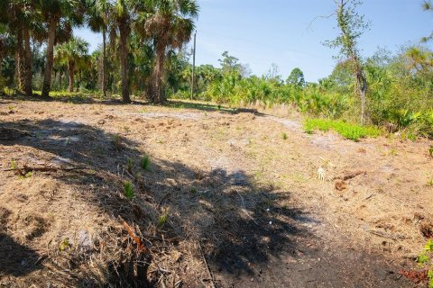Land in Port Charlotte, Florida № 1560185 - photo 17