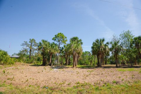 Land in Port Charlotte, Florida № 1560185 - photo 23