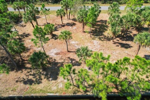 Land in Port Charlotte, Florida № 1560185 - photo 8
