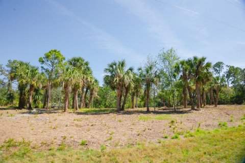 Land in Port Charlotte, Florida № 1560185 - photo 25