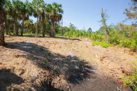 Land in Port Charlotte, Florida № 1560185 - photo 21