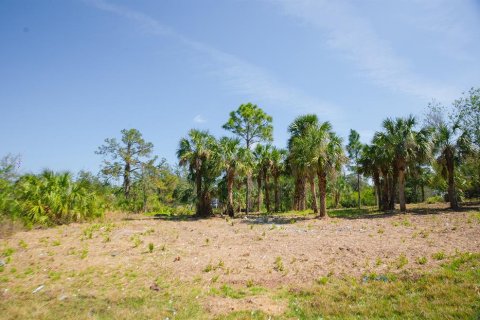 Land in Port Charlotte, Florida № 1560185 - photo 24