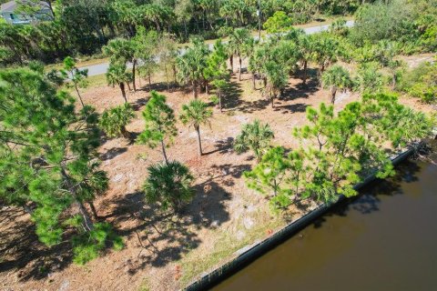 Land in Port Charlotte, Florida № 1560185 - photo 7