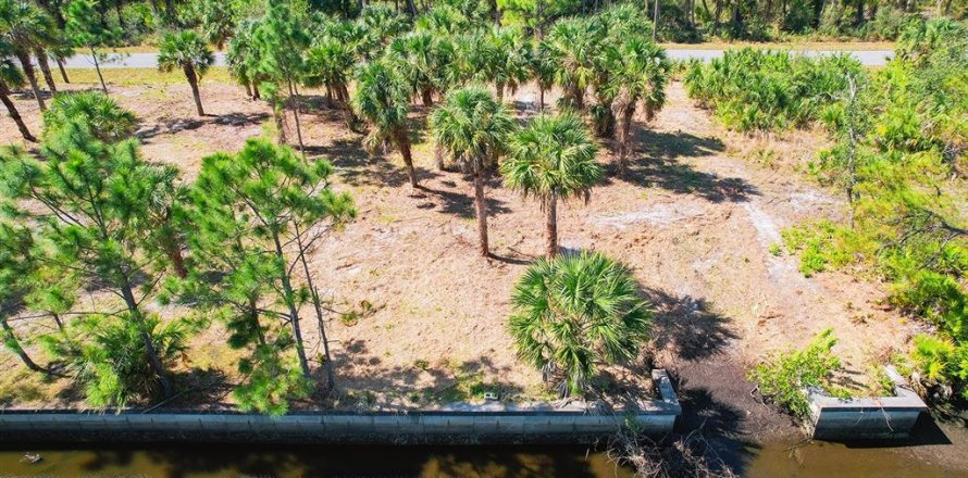 Land in Port Charlotte, Florida № 1560185