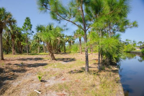 Land in Port Charlotte, Florida № 1560185 - photo 10