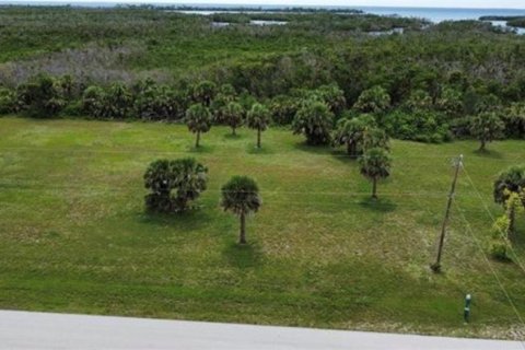 Land in Punta Gorda, Florida № 2122416