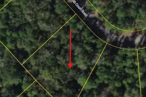 Land in Ocala, Florida № 2197483
