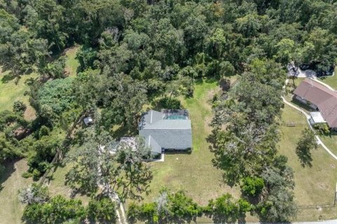 Villa ou maison à vendre à New Port Richey, Floride: 3 chambres, 176.61 m2 № 2406666 - photo 9