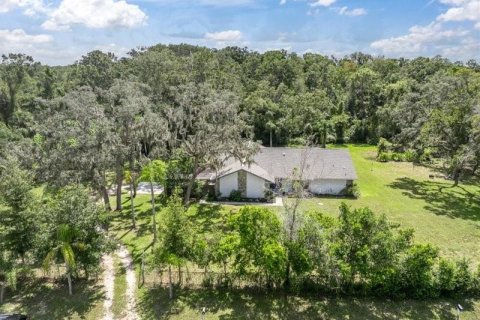 Villa ou maison à New Port Richey, Floride 3 chambres, 176.61 m2 № 2406666