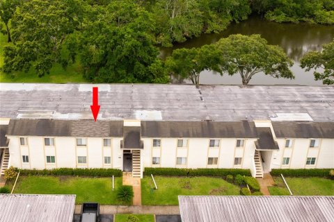 Condo in Oldsmar, Florida, 2 bedrooms  № 1743669 - photo 24