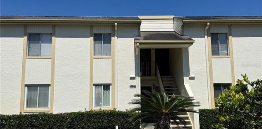 Condo in Oldsmar, Florida, 2 bedrooms  № 1743669