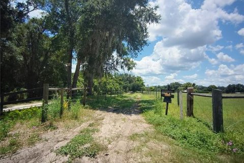 Terreno en venta en De Leon Springs, Florida № 1829262 - foto 3