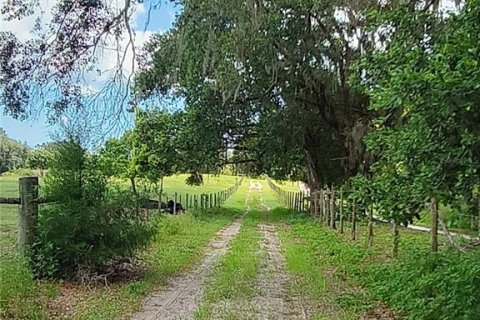 Terreno en venta en De Leon Springs, Florida № 1829262 - foto 23