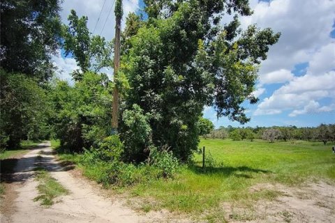 Terreno en venta en De Leon Springs, Florida № 1829262 - foto 17