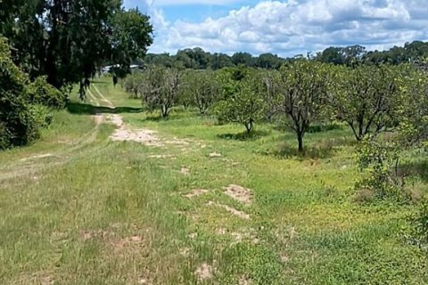 Terreno en venta en De Leon Springs, Florida № 1829262 - foto 14