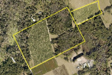 Terreno en venta en De Leon Springs, Florida № 1829262 - foto 1