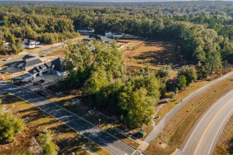Land in Newberry, Florida № 1534519 - photo 6