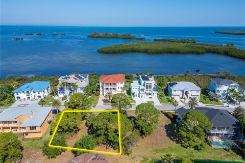 Land in Tarpon Springs, Florida № 2127391