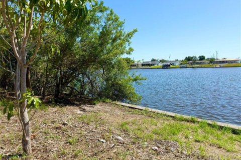 Land in Port Charlotte, Florida № 1386396 - photo 3