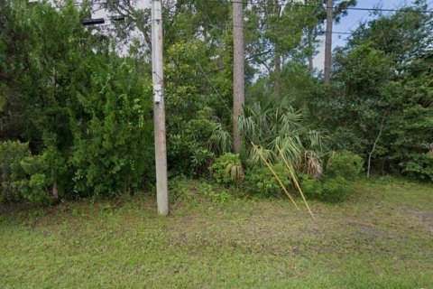 Land in Oviedo, Florida № 1636250 - photo 1