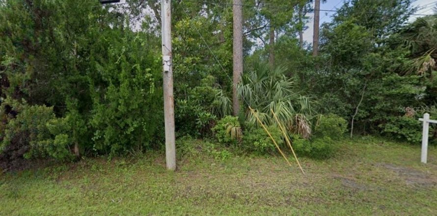 Land in Oviedo, Florida № 1636250