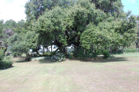 Commercial property in Hawthorne, Florida 210.7 sq.m. № 2239644 - photo 2