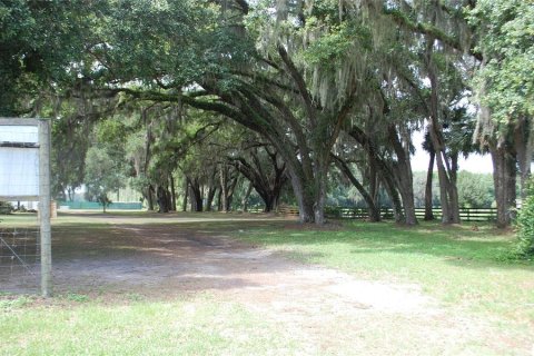 Commercial property in Hawthorne, Florida 210.7 sq.m. № 2239644 - photo 24