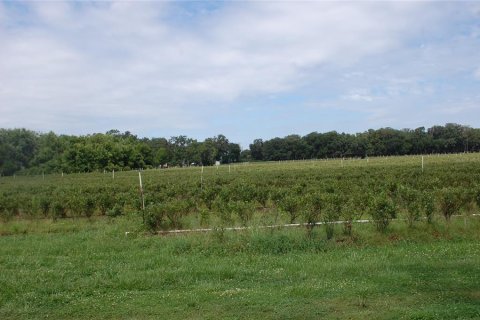 Commercial property in Hawthorne, Florida 210.7 sq.m. № 2239644 - photo 15
