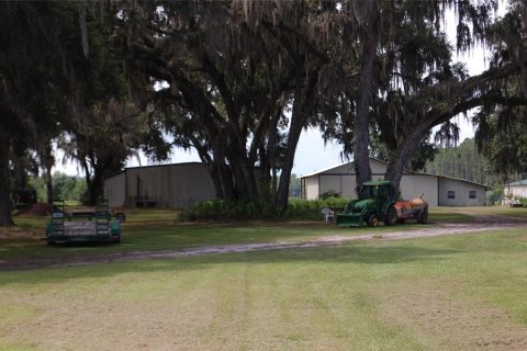 Commercial property in Hawthorne, Florida 210.7 sq.m. № 2239644 - photo 9
