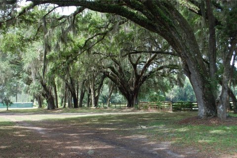 Commercial property in Hawthorne, Florida 210.7 sq.m. № 2239644 - photo 27