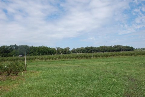 Commercial property in Hawthorne, Florida 210.7 sq.m. № 2239644 - photo 12