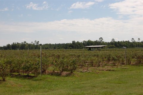 Commercial property in Hawthorne, Florida 210.7 sq.m. № 2239644 - photo 7
