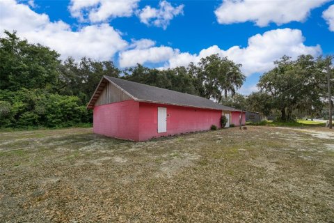 Commercial property in Wildwood, Florida 225.75 sq.m. № 1853531 - photo 15