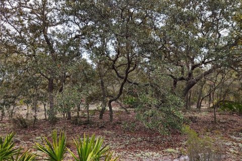 Land in Bronson, Florida № 1521893 - photo 15