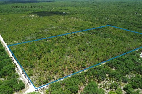 Land in Bronson, Florida № 1521893 - photo 2