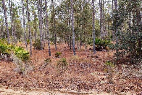 Land in Bronson, Florida № 1521893 - photo 14
