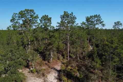 Land in Bronson, Florida № 1521893 - photo 1