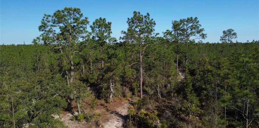 Land in Bronson, Florida № 1521893