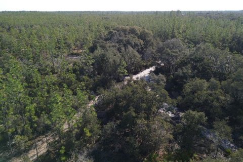 Land in Bronson, Florida № 1521893 - photo 6
