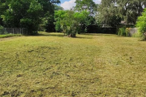 Land in Tampa, Florida № 2258664