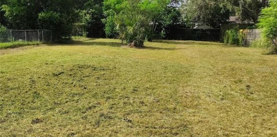 Land in Tampa, Florida № 2258664