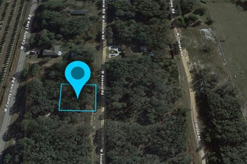 Villa ou maison à vendre à Avon Park, Floride: 3 chambres, 147.34 m2 № 1907987 - photo 3