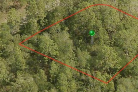 Terreno en Dunnellon, Florida № 2162108