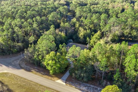 House in Dunnellon, Florida 3 bedrooms, 239.87 sq.m. № 2225269 - photo 5