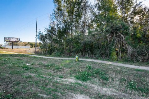 Land in Lecanto, Florida № 995243 - photo 5