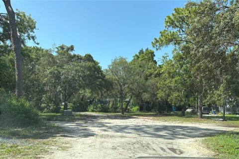 Commercial property in Hudson, Florida 12 bedrooms, 395.39 sq.m. № 2202241 - photo 8